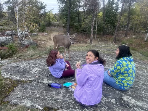 Three students laugh and feed a doe standing within arms reach.