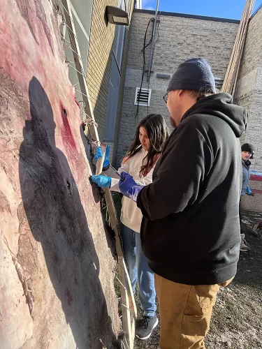 A student learns how to clean a hide on a frame.